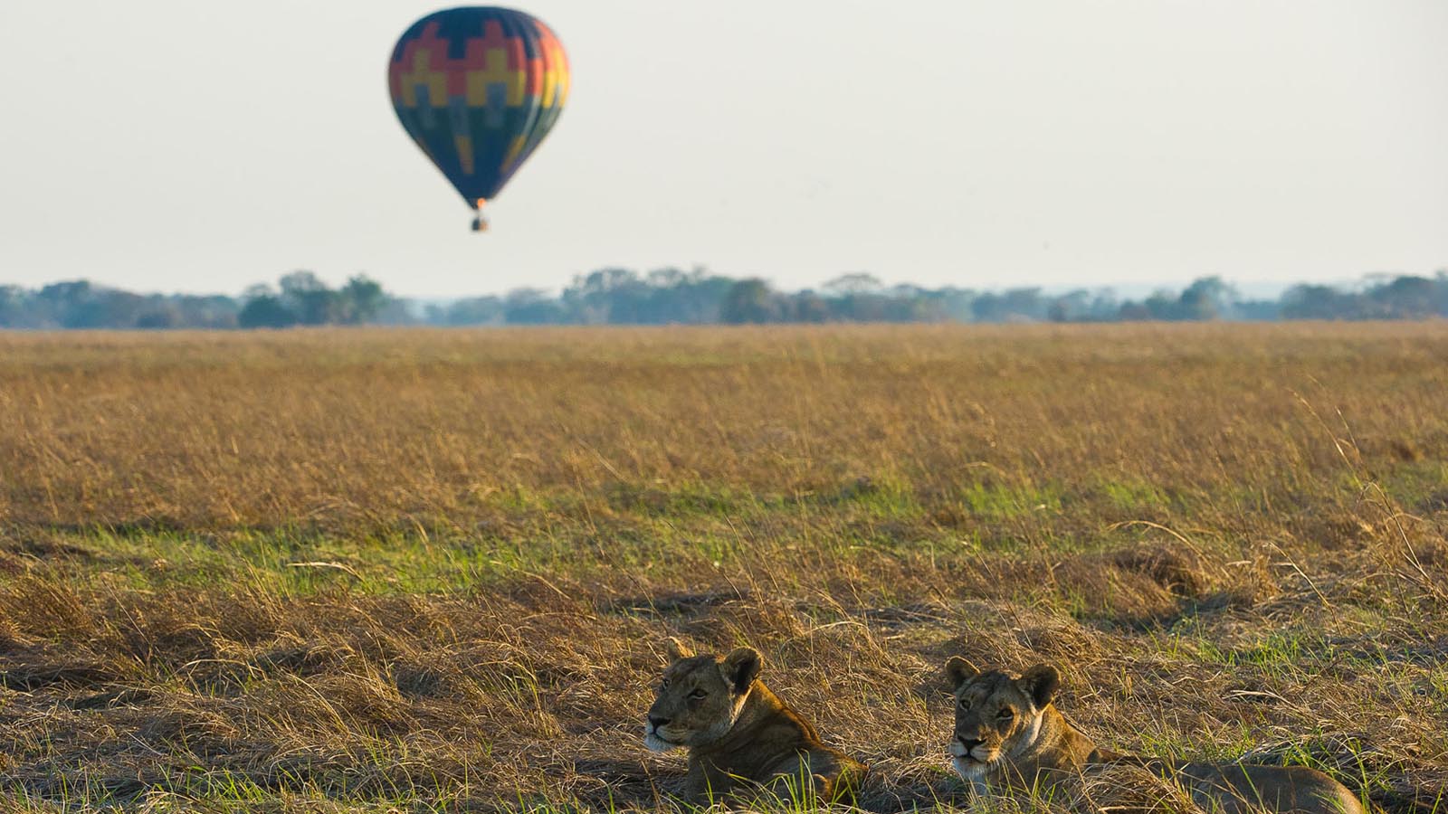 Zambia Vacations & Safaris Holidays | Zambia Safari Tours & Vacations