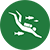 Scuba diving and snorkelling Icon