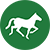 Horse-riding  Icon