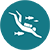 Diving icon
