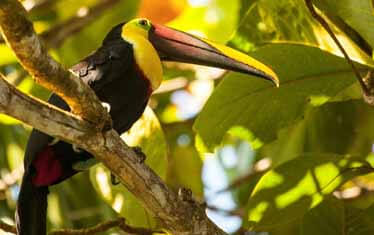 Costa Rica Highlights