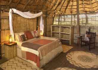 Tafika + Chikoko Tree + Crocodile + Chongwe River Camp