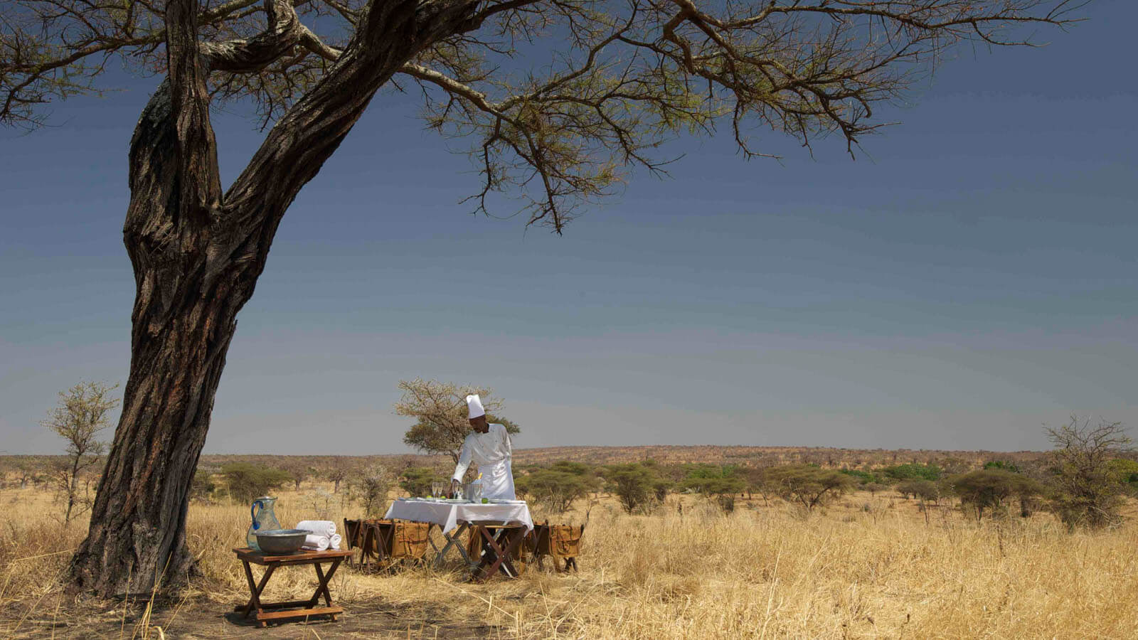 Tarangire Treetops | Elewana Lodges | Tanzania Odyssey