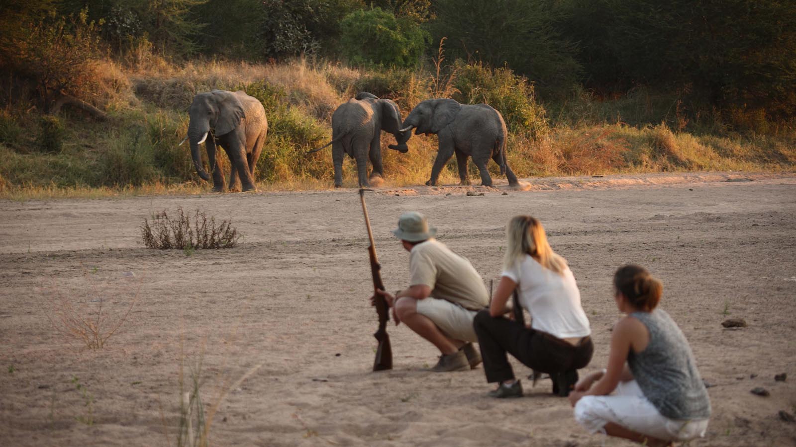 Africa Safari Activities What to do on Safari Africa Odyssey