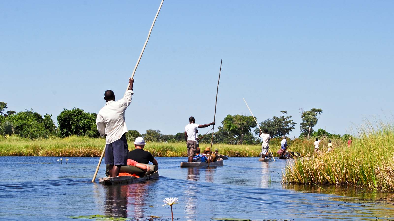 Africa Safari Activities | What to do on Safari | Africa Odyssey
