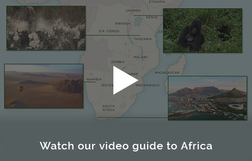 Africa safari planning with the experts