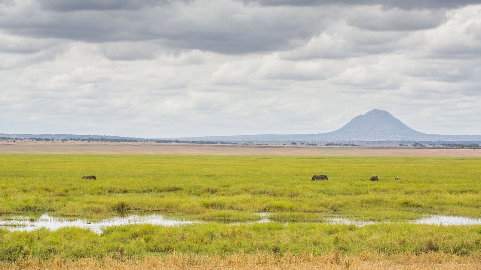 tarangire-national-park-tarangire-safari-tanzania-odyssey